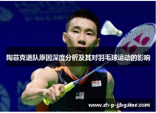 陶菲克退队原因深度分析及其对羽毛球运动的影响