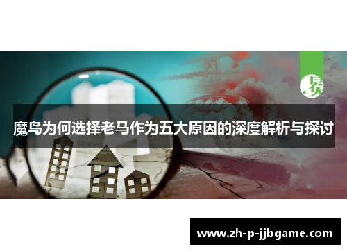 魔鸟为何选择老马作为五大原因的深度解析与探讨